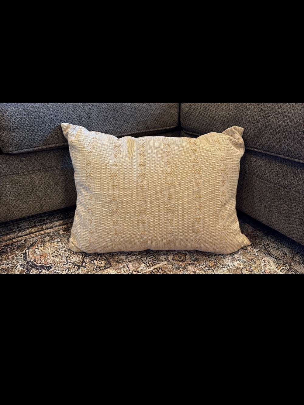 Target threshold 18x24 Neutral Cream Decorative Throw Pillow - Brand